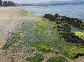 Vistas a la Ría de Arousa