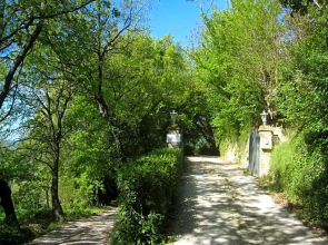 Collesole
