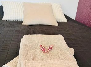 Comfy Studio Apt with Prime Location