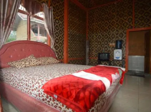 Puncak Jaya Guntur 3