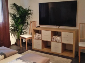 Swiss Lakeview Apartment