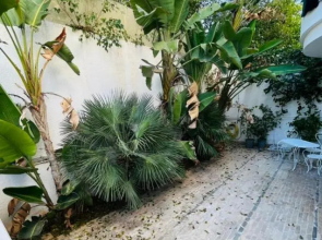 Luxueux studio avec jardin au lac2