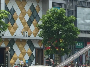 Yueju Boutique Hotel (Jiangmen Wanda)