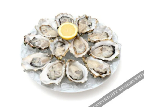 Penglai March antique fishing Inn(蓬莱行军古玩渔家客栈)