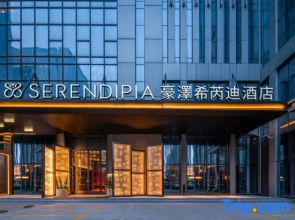 Serendipia Hotel by Holz