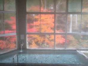 Fujiya Ryokan