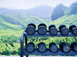 Sercotel Amistad Murcia