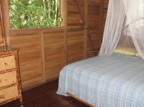 Cecropia House