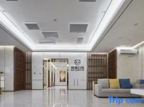 The Moss Loft Apartment (Chongqing Jiefangbei)