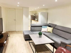 Newly renovated basement apartment