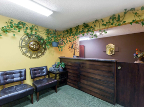 Super 8 by Wyndham Perry IA