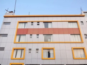 Oyo 11367 Hotel Yellow