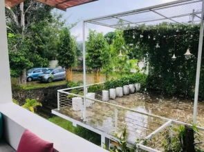 Villa Green Bamboo