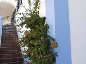 Casa Azul