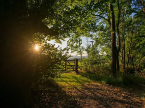 Beautiful Secluded 2-bed Barn With Woodfire Hottub