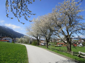 Apartments FEICHTNER / Tulfes / Tirol