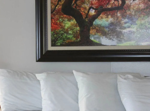 Kentucky Lake Resort & RV Park