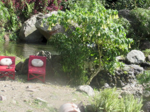 RafJam Bed & Breakfast