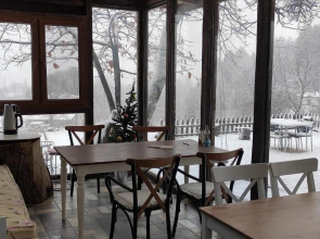 Torrhebia Dag Evi