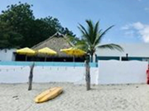 Coconut Blue Panama