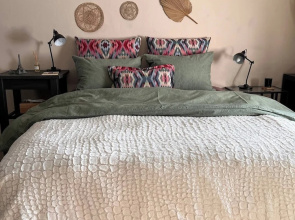 Mosquito Guest House 2