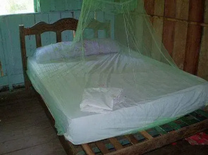 Manaus Jungle Hostel