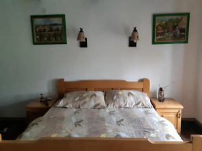 Apartment Ilkićev kućerak