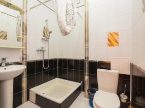 Отель Аллес