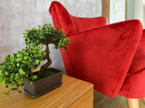 Sun&Sport Apartament ATENA w super lokalizacji plus ogródek z widokiem