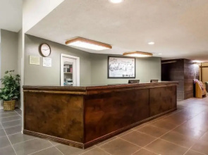 Studio Apartments