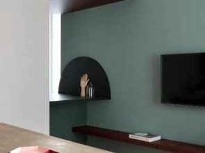 BraSuite