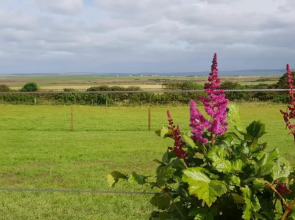 Lilly's Lodges Orkney Hedgehog Lodge