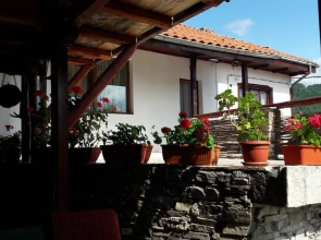 The Sharkov House