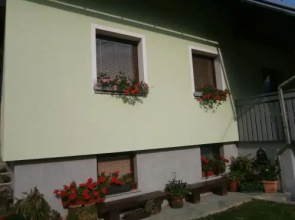 Apartment Žvan