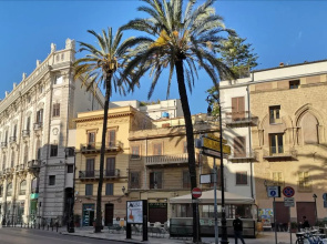 Casetta fiori di loto