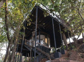 Forest Hills at Tala