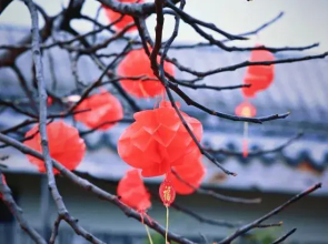 Shan Li Yun Boutique Hostel