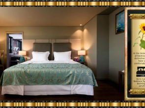 Hotel Jaguar Oporto - Airport to Hotel and City Center and Vice-Versa is a Free and Continuous Shuttle Service from 7AM to 8PM