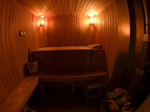 Снежные Гуси Новоснежная