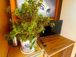 Панорама (Гагра)