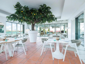 Th8 Palm Dubai Beach Resort, Vignette Collection, by IHG