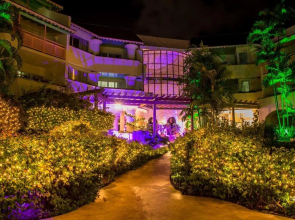 Bougainvillea Barbados