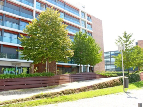 Akicity Alcantara In