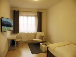Apartement Ringhofer by Schladmingurlaub