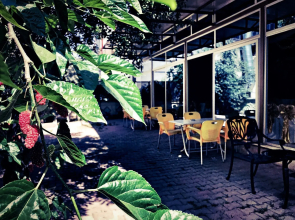 Otel Star Palace