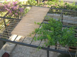 Guest House Ljubiša