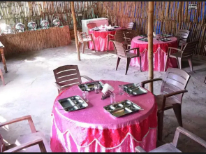 Camp Exotica Manali