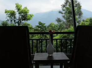 Sattva The Awakening Garden