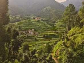 TGV Escape,Kanatal