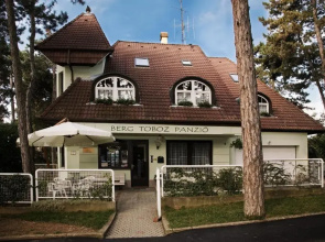 Berg Toboz Panzi